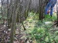 /album/fotogaleria/p1000443-jpg/